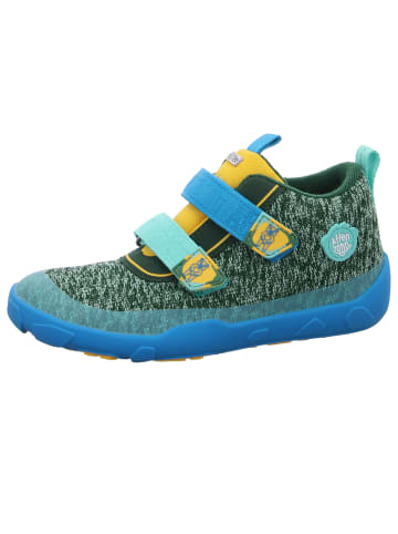 Affenzahn Klettschuh Bär in Grün
