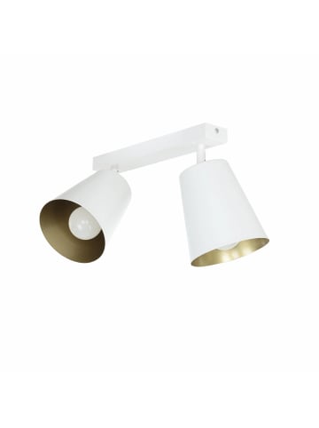Licht-Erlebnisse Spot Strahler (B)15 x (L)50 x (H)30 cm in Weiß Gold
