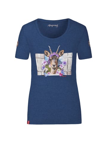 Almgwand Miesenbachalm in Rauchblau