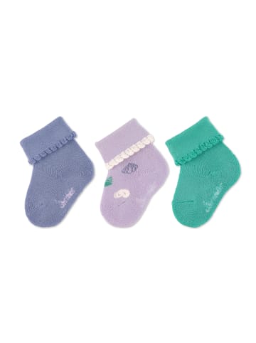 Sterntaler Baby-Söckchen uni + Muscheln, 3er-Pack in flieder