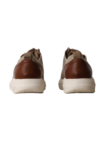 ELONG Sneaker mit Schnürsenkeln Grün
