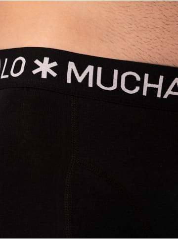 Muchachomalo 5er-Set: Boxershorts in Black/Blue/Blue/Green/Pink