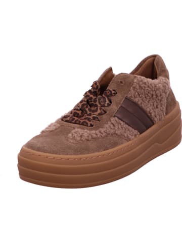 Gabor Sneaker Low in beige