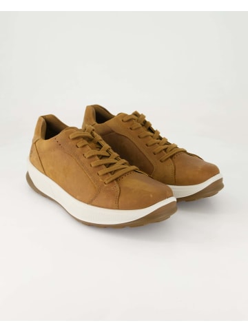 Ecco Sneaker low in Braun