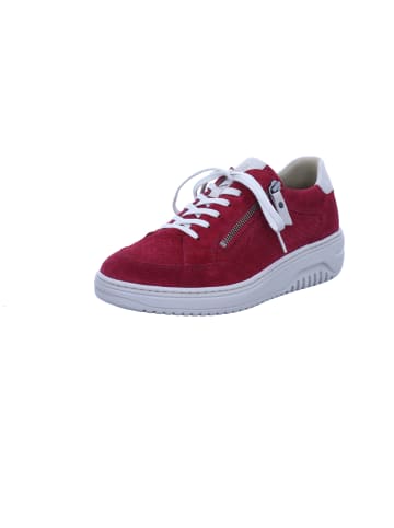 Hartjes Sneaker Low in rot