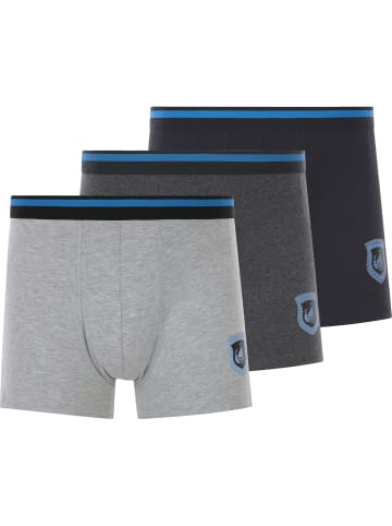 Jan Vanderstorm 3er Pack Retropants VELJOR in grau