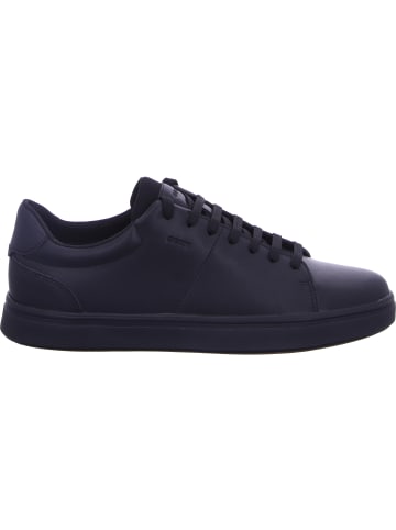 Geox Schnürschuh in schwarz