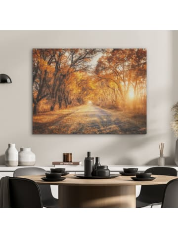 OnlyWow Akustibild Waldweg