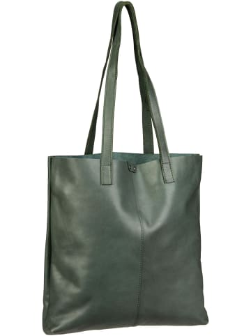 Harold's Shopper Caugio CAU16 in Grün