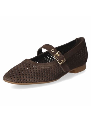Paul Green Ballerina in brown