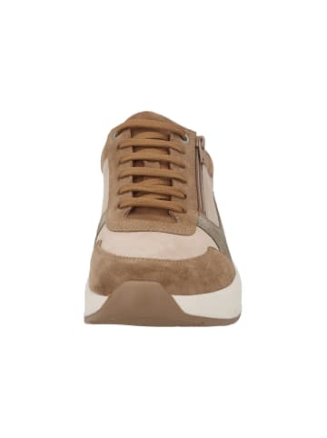 Solidus Schnürschuhe Ken - Weite K in Braun