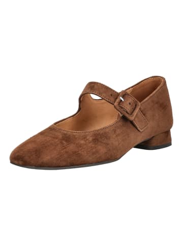 Gabor Pumps in Cacao