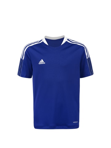 adidas Performance Trainingsshirt Tiro 21 in blau / weiß