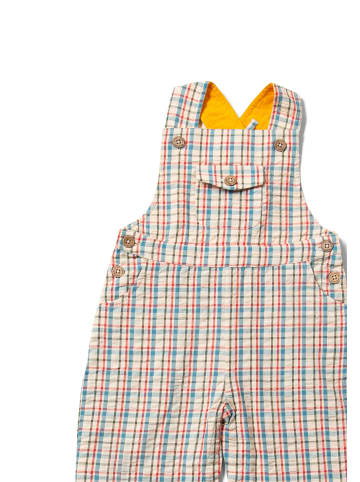 Little Green Radicals Pocket Dungaree Shorts in Bunt