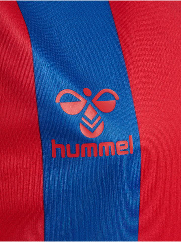 Hummel Hummel T-Shirt Hmlcore Multisport Kinder Atmungsaktiv Schnelltrocknend in TRUE BLUE/TRUE RED