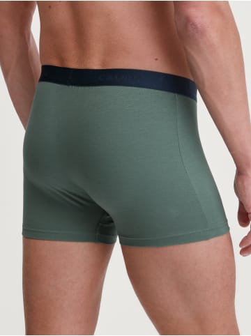 Calida New Boxer, 3er-Pack in dark glen
