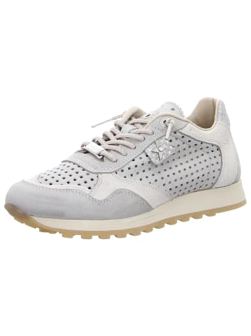 Cetti Sneaker Low in grau
