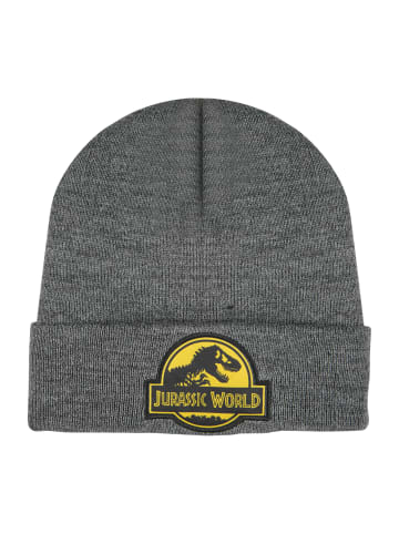 ONOMATO! Wintermütze Jurassic World Beanie in Grau