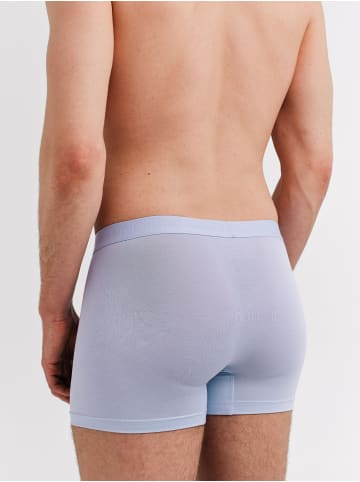 Erlich Textil  LIGHT TOUCH PANTS IM 3er PACK in hellblau