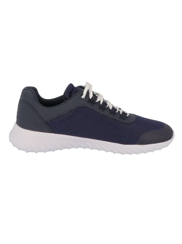 Tom Tailor Sneaker low in Blau