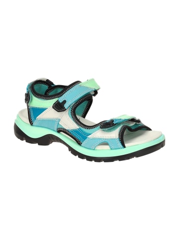 Ecco Trekkingsandalen in Blau