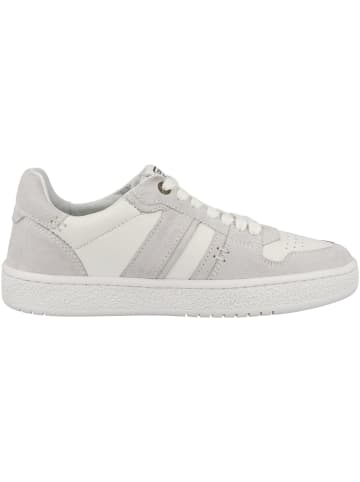Camel Active Sneaker low 55BNN11 in weiss