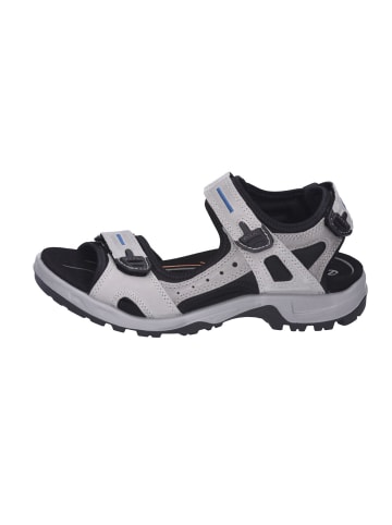 Ecco Outdoorsandalen Offroad in concrete/wild/dove