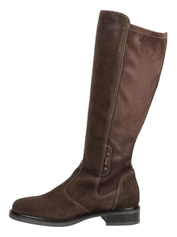 Nero Giardini Stiefel in Dunkelbraun