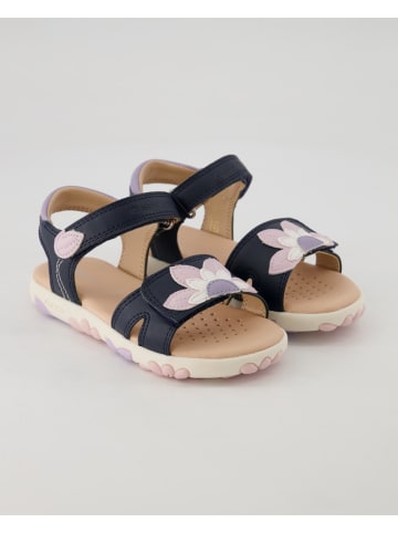 Geox Sandalen in Blau