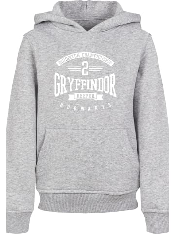 F4NT4STIC Hoodie in heather grey