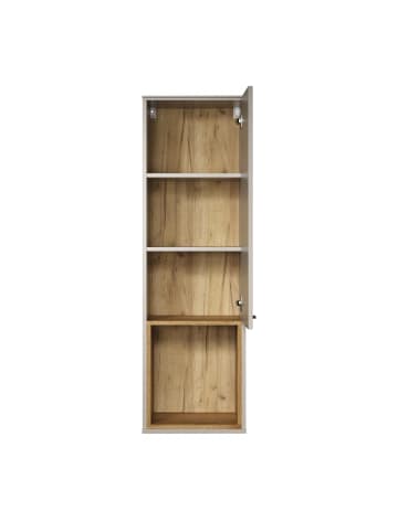 ebuy24 Vitrinenschrank SaoPaulo Kaschmir 40 x 37 cm
