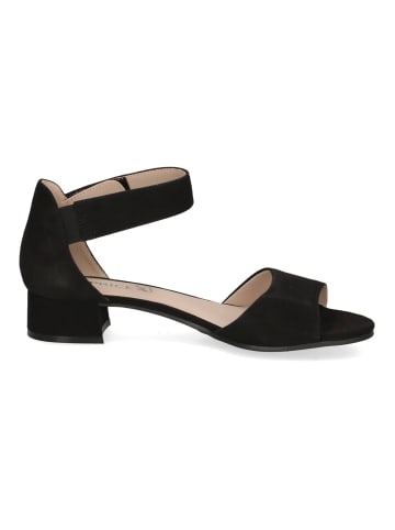 Caprice Sandalen in Schwarz/Schwarz