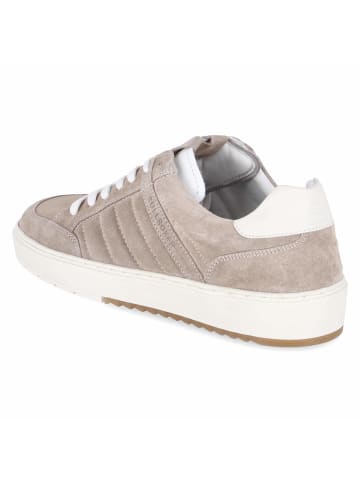 Bullboxer Sneaker in taupe