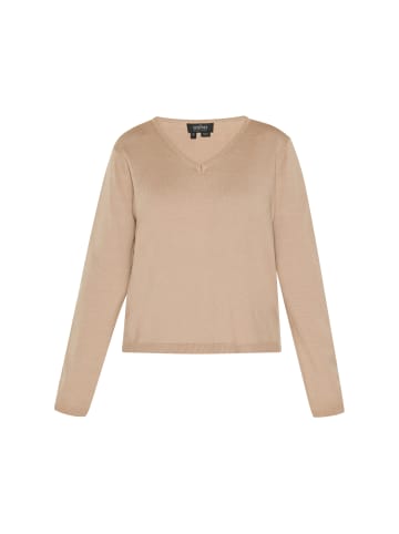 usha BLACK LABEL Sweater in beige