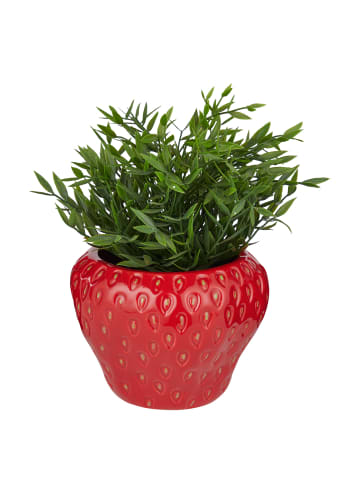 Butlers Blumentopf STRAWBERRY Erdbeere in Rot