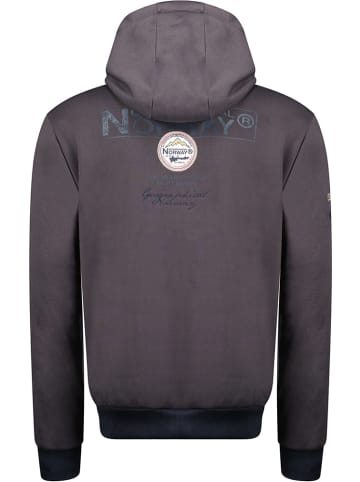 Geographical Norway Hoodie "Flyer  Men 251" in Grau