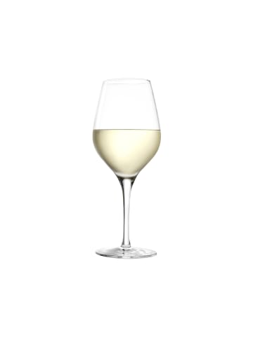 Stölzle 6er Set Weißweinkelche Exquisit 350 ml transparent in transparent