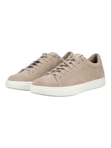 Geox Sneaker in Sand