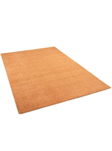 Snapstyle Hochflor Velours Teppich Luna in Terracotta