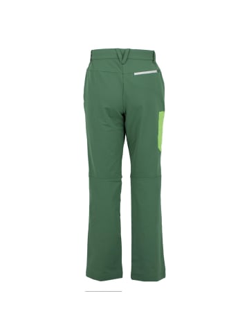 Jack Wolfskin Wanderhose Overland II Nature Tech UV in Grün