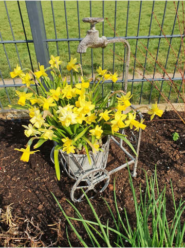 Ambiente Haus Blumenständer mit Wasserhahn in Antikgrau