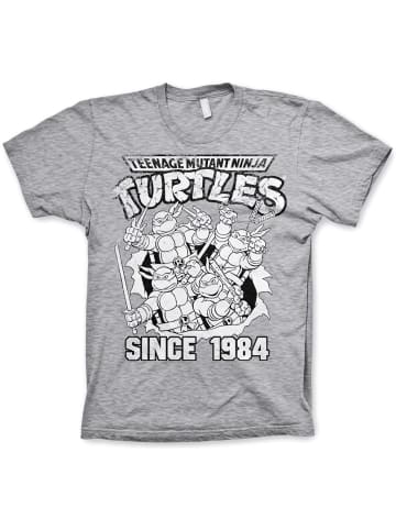 Teenage Mutant Ninja Turtles T-Shirt in Grau