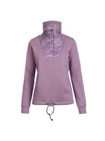 Salzhaut Sweatshirt HAASKE in Purple