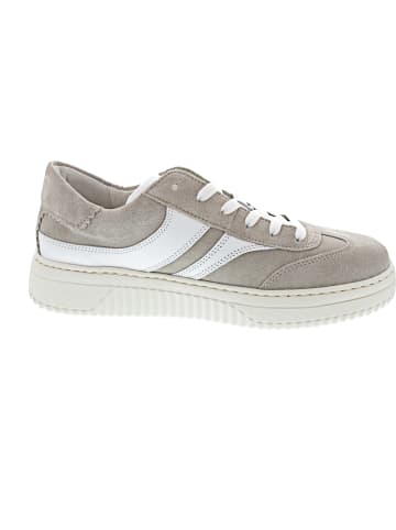 Gabor Comfort Sneaker low Beige