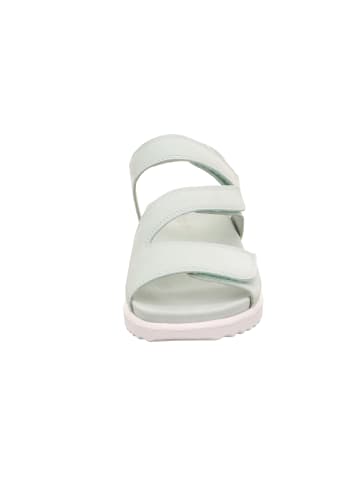 Legero Riemchensandalette in grün