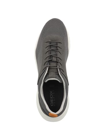 Geox Sneaker low U Monreale A in dunkelgrau