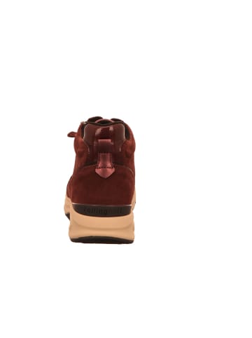 Gabor Sneaker High in bordeaux