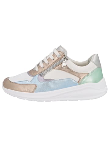 Solidus Sneaker Low in bunt