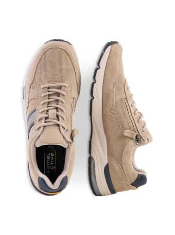 Camel Active Sneaker Low mit Innenzipper in Beige