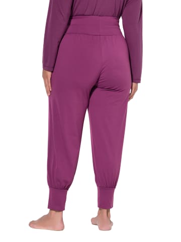 Ulla Popken Schlupfhose in brombeere